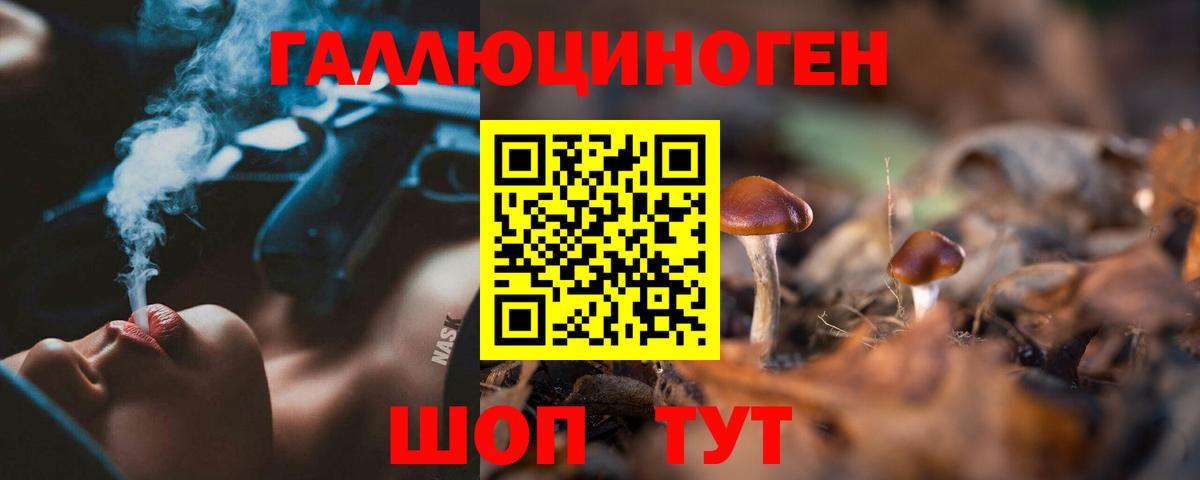 Псилоцибиновые грибы мицелий  Галлюциногенные грибы Psilocybe  Вход с VPN  Нальчик 